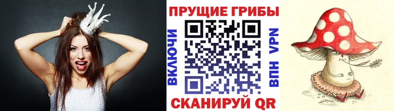 Галлюциногенные грибы GOLDEN TEACHER  что такое   Кемь 